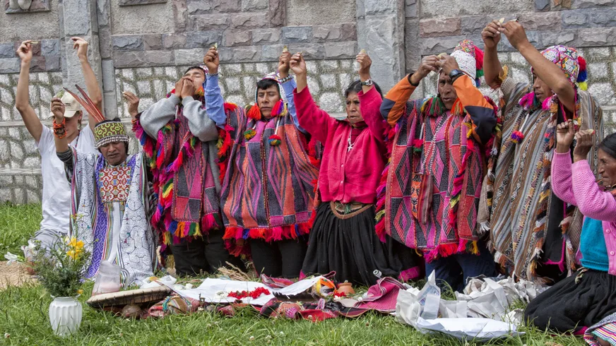 Effects of the Ayahuasca Brew