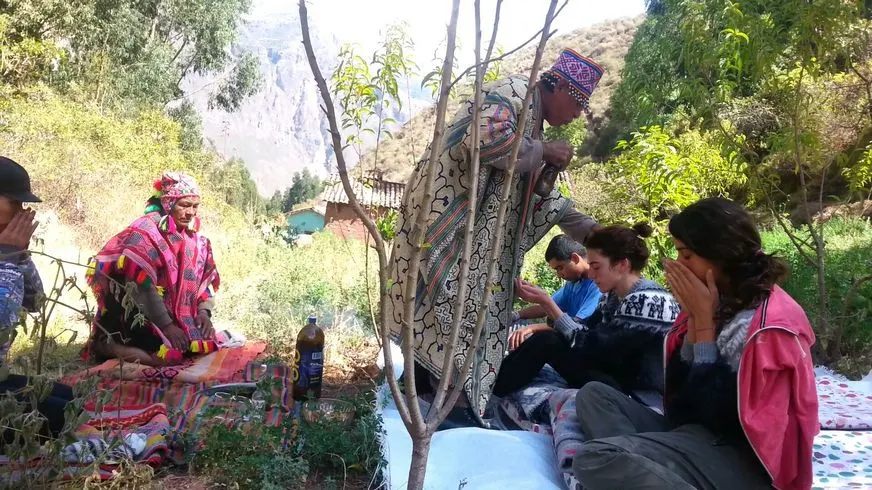 Preparation for Ayahuasca and Wachuma