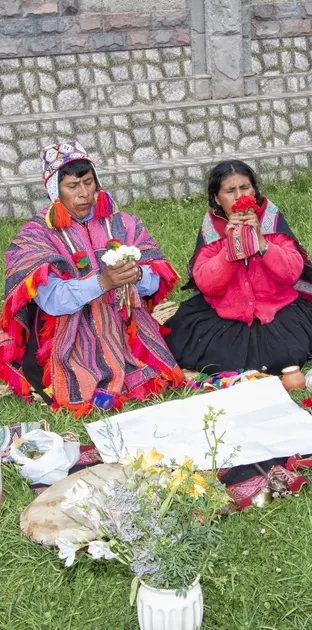 Ayahuasca Cusco Peru