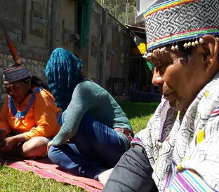 Ayahuasca 1 Day in Cusco
