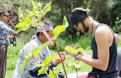 Ayahuasca Retreat 1 Day in Cusco